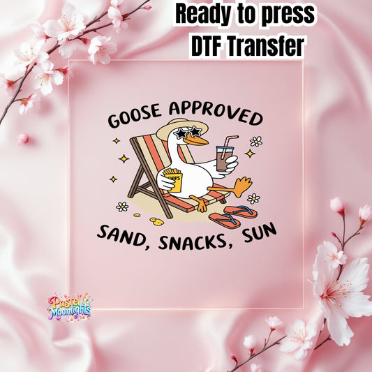 Silly Goose Design 10 DTF Print Ready to Press