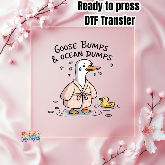 Silly Goose Design 11 DTF Print Ready to Press