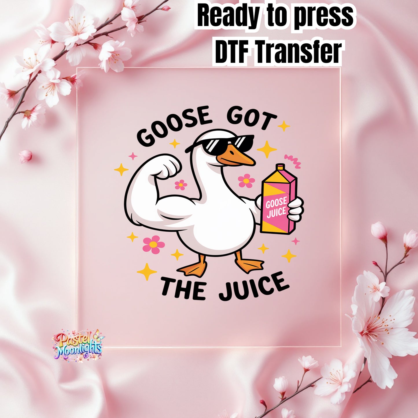 Silly Goose Design 12 DTF Print Ready to Press