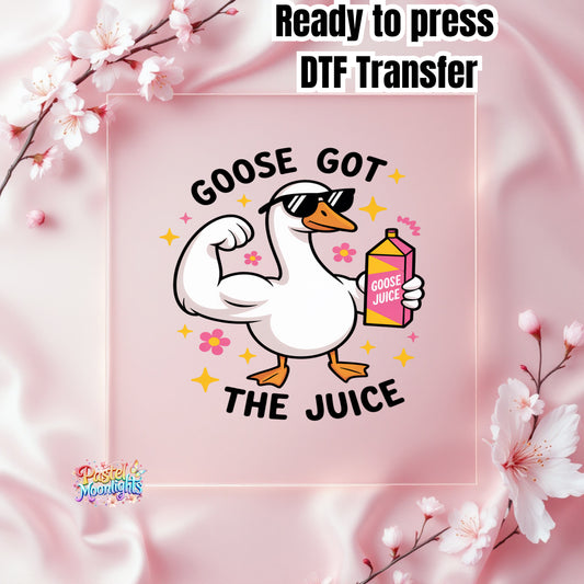 Silly Goose Design 12 DTF Print Ready to Press