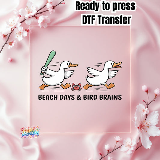 Silly Goose Design 1 DTF Print Ready to Press