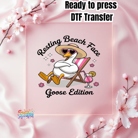 Silly Goose Design 26 DTF Print Ready to Press