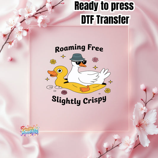 Silly Goose Design 28 DTF Print Ready to Press