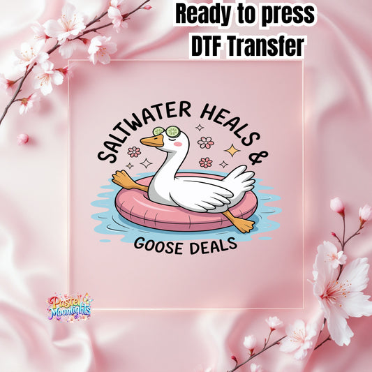 Silly Goose Design 29 DTF Print Ready to Press