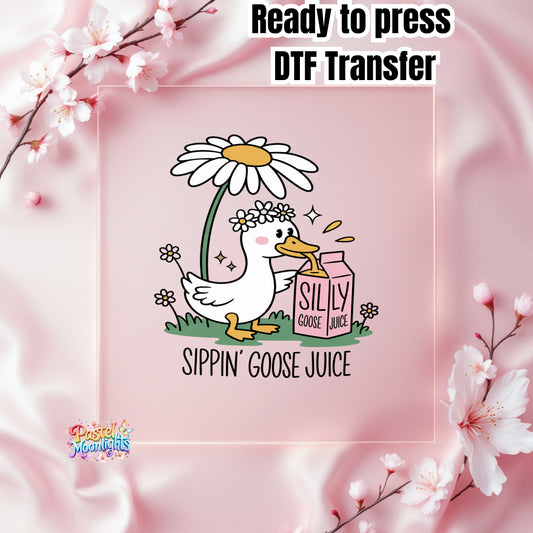 Silly Goose Design 39 DTF Print Ready to Press