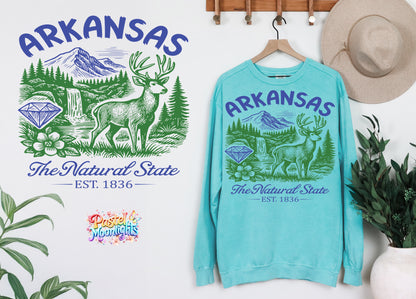 Arkansas The Natural State  DTF Print Ready to Press