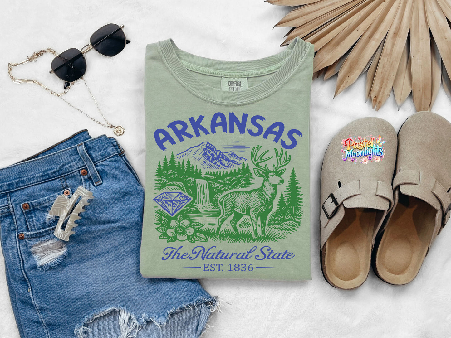 Arkansas The Natural State  DTF Print Ready to Press