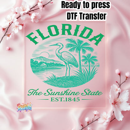 Florida The Sunshine State DTF Print Ready to Press