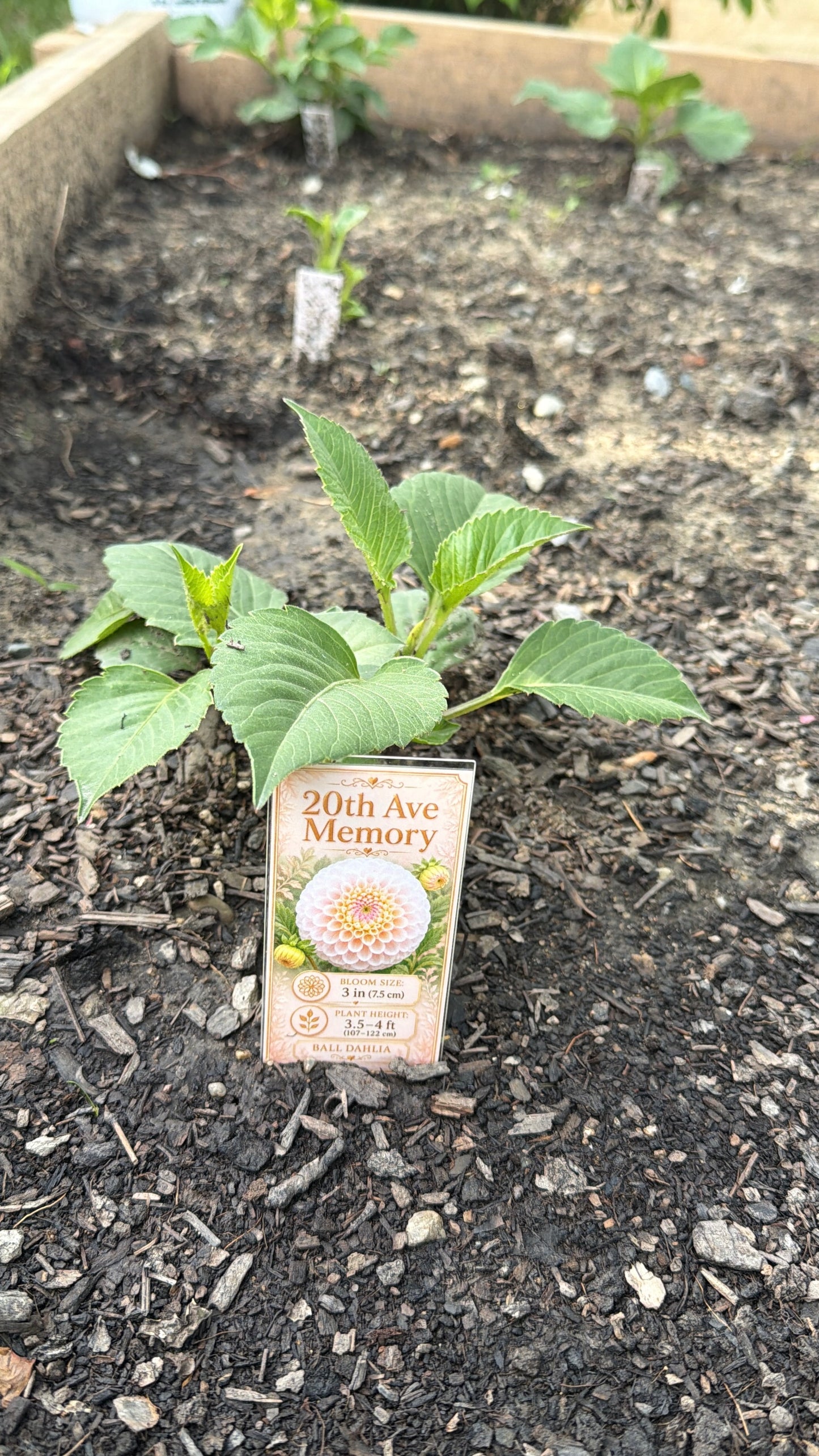 Weather Proof Flower Tag