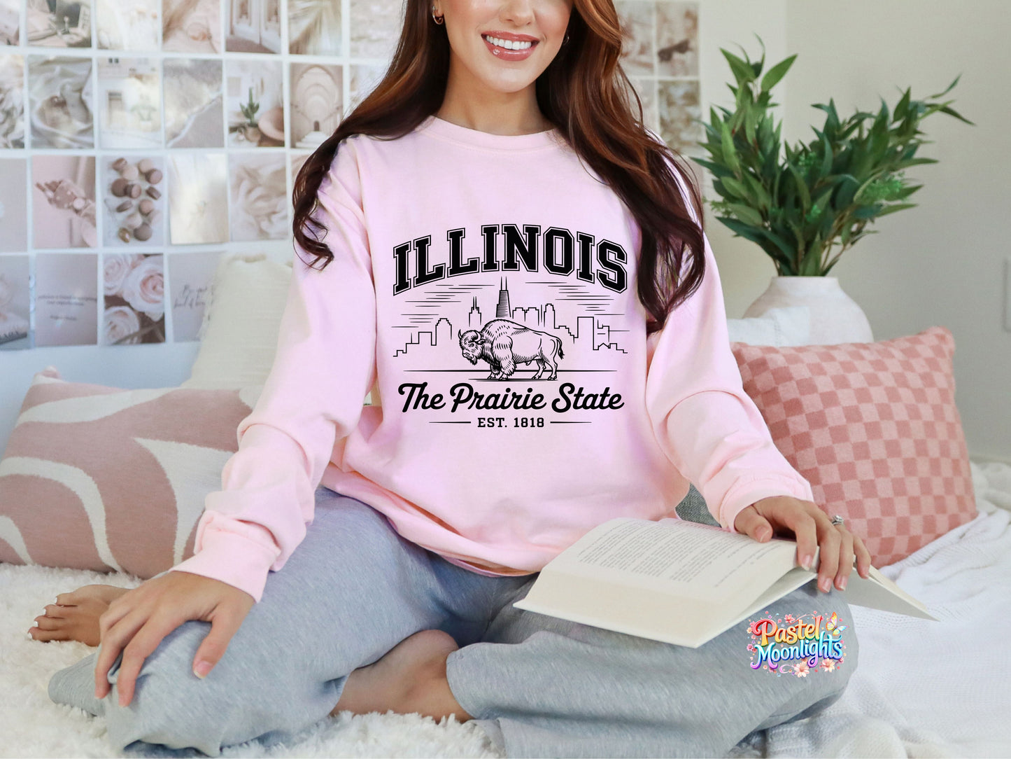 Illinois  The Prairie State DTF Print Ready to Press