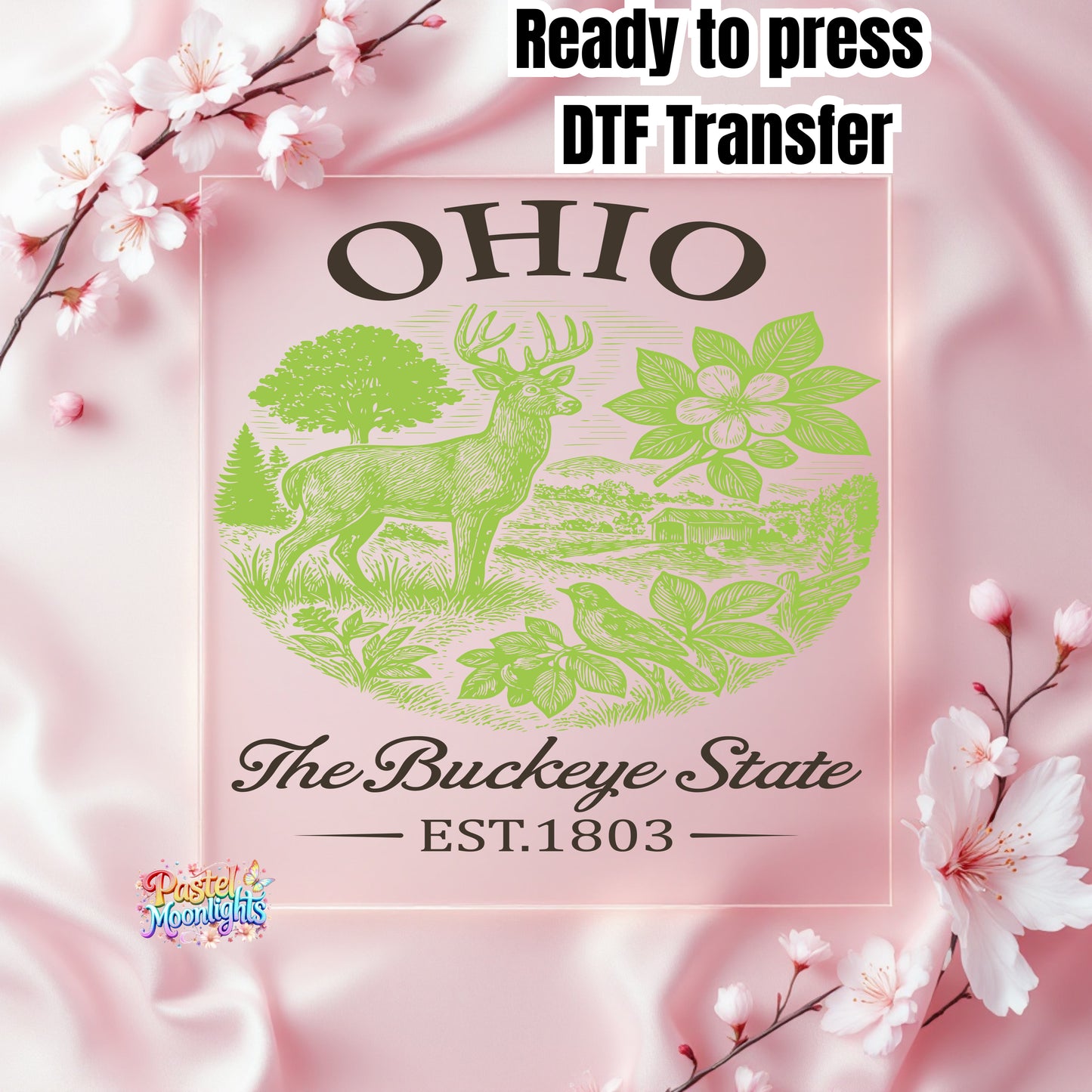 Ohio The Buckeye State  DTF Print Ready to Press