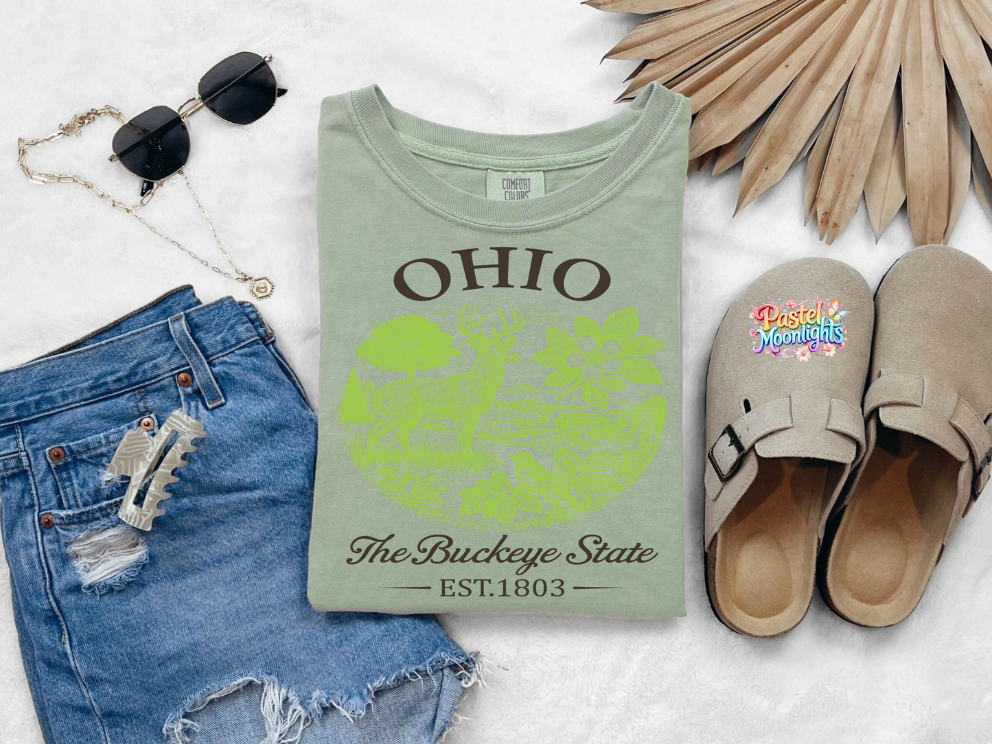 Ohio The Buckeye State  DTF Print Ready to Press