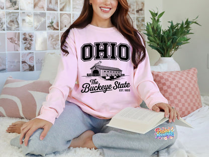 Ohio The Buckeye State  DTF Print Ready to Press