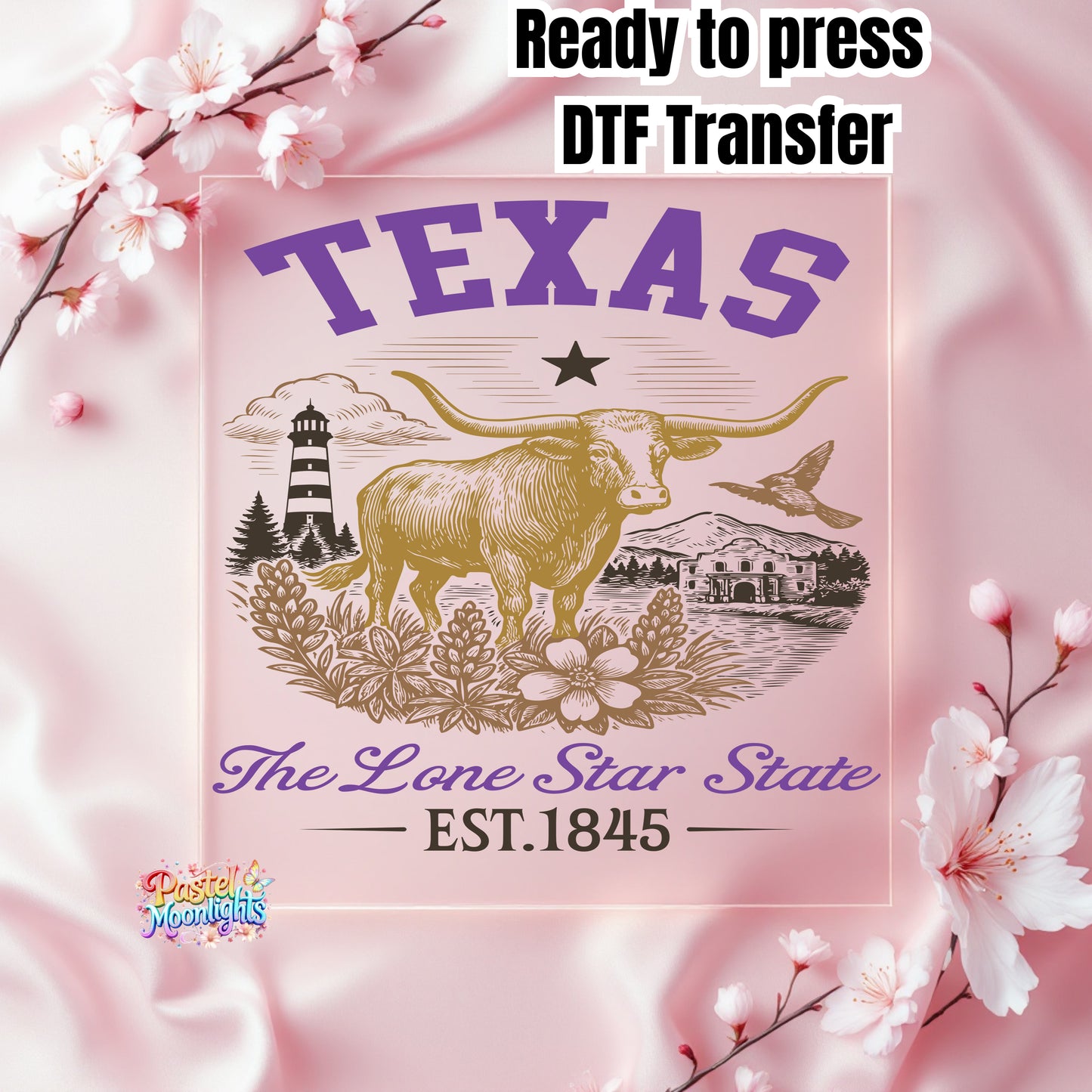 Texas The Lone Star State DTF Print Ready to Press
