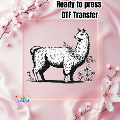 Llama Design 18 DTF Print Ready to Press