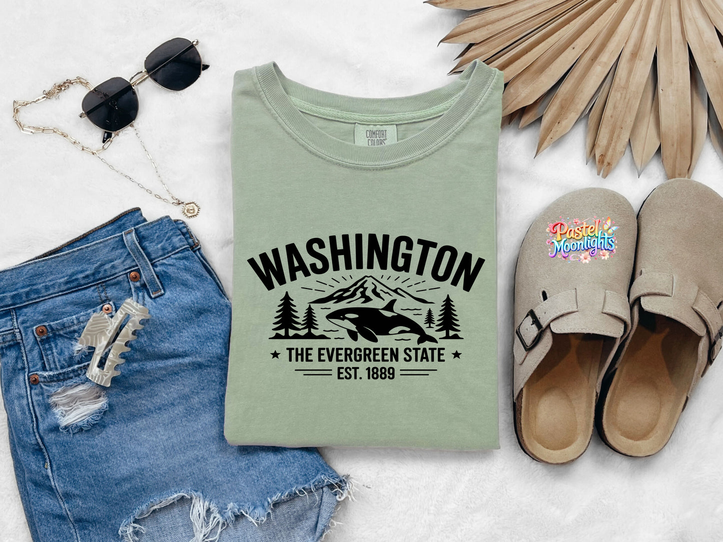 Washington The Evergreen State DTF Print Ready to Press