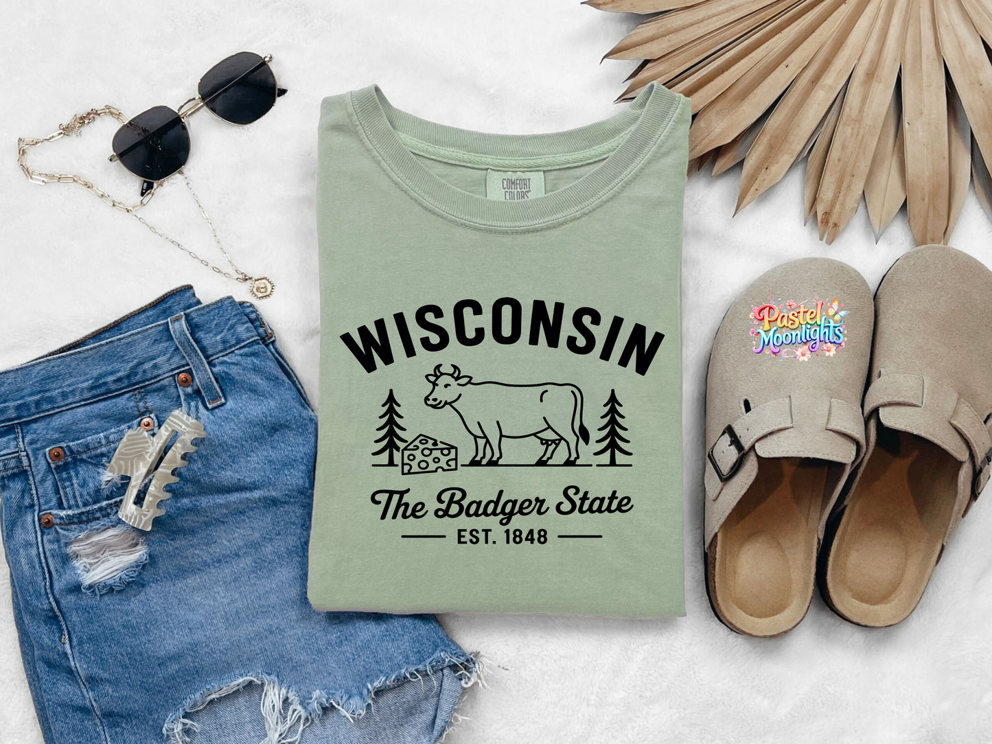 Wisconsin The Badger State DTF Print Ready to Press